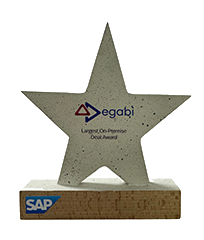 SAP Largest On-Premise Deal Award – 2024