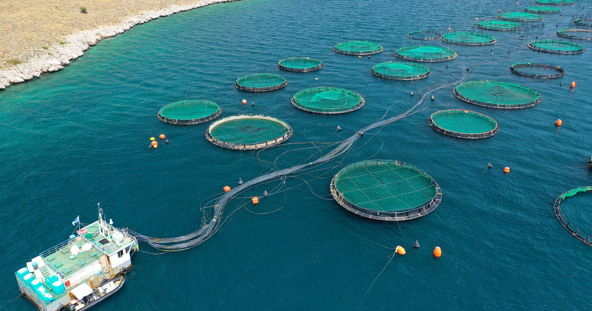 The Proposed Solution: